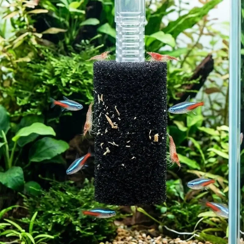 Esponjas prefiltro cilíndricas para acuario, varios packs