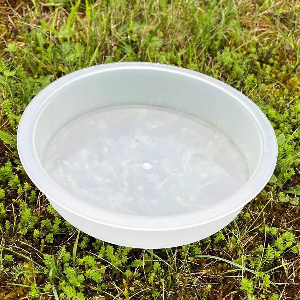 Cuenco transparente para agua y comida de aves