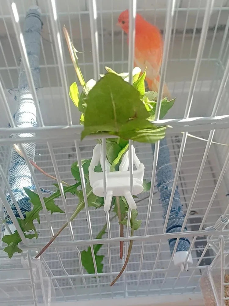 Pinza para fruta y hueso de sepia en jaulas de aves